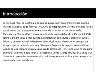 Introducción.
La hormiga Toro, de Australia y Tasmania, provoca un dolor muy intenso cuando
muerde debido al ácido fórmico (HCOOH) que deposita en las incisiones que hace a
sus víctimas. Las interesantes formaciones de las cavernas del desierto de
Chihuahua y Nuevo México son resultado de la acción del ácido sulfúrico (H2SO4)
sobre la piedra caliza de las cuevas. Las hortensias son azules si crecen en suelos
ácidos, y de color rosa si lo hacen en tierra alcalina. Las disoluciones acuosas de
vinagre, que es un ácido, son muy útiles en la limpieza de la parte externa de los
vidrios de una ventana, mientras que las de armoníaco (NH3), una base, lo son para
el interior de éstos o para limpiar la cristalería. Como habrás notado, los ácidos y las
bases están presentes en nuestra vida cotidiana y es muy fácil caracterizarlo por las
propiedades que manifiestan.
 