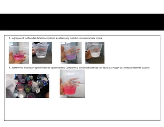 3. Agreguen 2 cucharadas del extracto de col a cada vaso y mezclen con una cuchara limpia.
4. Determina el valor pH aproximadode cada muestra. Comparen la tonalidad obtenida con la escala. Hagan sus anotaciones en el cuadro.
 