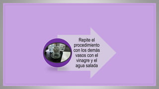Repite el
procedimiento
con los demás
vasos con el
vinagre y el
agua salada
 