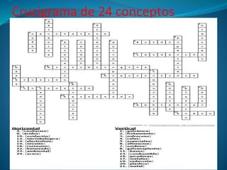 Crucigrama de 24 conceptos
 