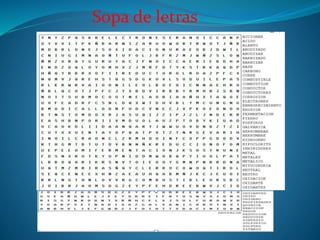 Sopa de letras
 