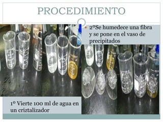 PROCEDIMIENTO

1º Vierte 100 ml de agua en
un criztalizador
 2ºSe humedece una fibra
y se pone en el vaso de
precipitados
 