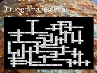 Crucigrama resuelto:
 