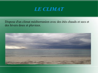 LE CLIMAT

Dispose d'un climat méditerranéen avec des étés chauds et secs et
des hivers doux et pluvieux.
 