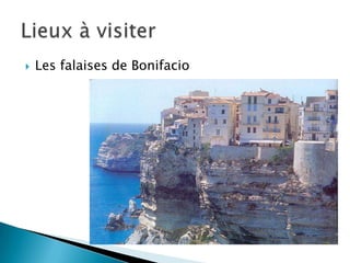  Les falaises de Bonifacio