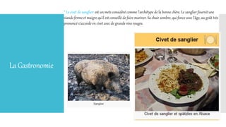 LaGastronomie
* Le civet de sanglier: est un mets considéré comme l'archétype de la bonne chère. Le sanglier fournit une
viande ferme et maigre qu'il est conseillé de faire mariner. Sa chair sombre, qui fonce avec l'âge, au goût très
prononcé s'accorde en civet avec de grands vins rouges.
 