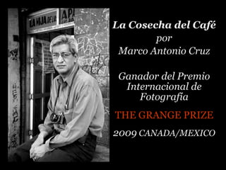 La Cosecha del Café por Marco Antonio Cruz Ganador del Premio Internacional de Fotografía THE GRANGE PRIZE 2009  CANADA/MEXICO 
