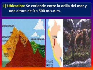 1) Ubicación: Se extiende entre la orilla del mar y 
una altura de 0 a 500 m.s.n.m. 
 