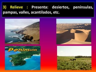 3) Relieve : Presenta: desiertos, penínsulas, 
pampas, valles, acantilados, etc. 
 