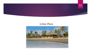 Colán-Piura
12
 