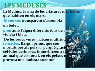 La Medusa és una de les criatures més belles
que habiten en els mars.
 El seu cos transparent s’assembla
un bolet,
pren amb l'aigua diferents tons de rosa,
violeta i blau.
 De les seues vores, naixen multitud de
tentacles, llargs i prims, que són trampes
mortals per als peixos, perquè gràcies als
cèl·lules verinoses, inmovilitzen a tot xicotet
animal que els toca i, en els peixos mes gran,
provoca una molesta coentor"
 
