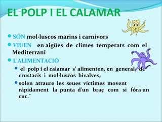 EL POLP I EL CALAMAR
SÓN mol·luscos marins i carnívors
VIUEN   en aigües de climes temperats com el
 Mediterrani
L'ALIMENTACIÓ
     el polp i el calamar s’ alimenten, en general, de
     crustacis i mol·luscos bivalves,
    solen atraure les seues víctimes movent
     ràpidament la punta d'un braç com si fóra un
     cuc."

 