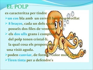    ELPOLP
es caracteritza per tindre
un cos bla amb un cervell ben desenrotllat
 8 braços, cada un dels quals
  posseïx dos files de ventoses.
 els dos ulls grans i complexos
  del polp tenen cristal·lí,
  la qual cosa els proporciona
 una visió aguda.
poden canviar, de forma i color molt ràpid
Tiren tinta per a defendre's
 
