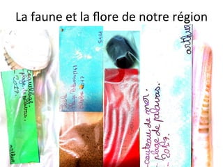 Les	photos	présentes	sur	ce	document	ne	peuvent	être	u"lisées	que	dans	le	cadre	du	projet	interna"onal	«	Culture	Box	»	2017/2018.	Aucun	
envoi	ou	transfert	n’est	autorisé	en	dehors	des	échanges	entre	l’école	de	la	Cougourlude	et	les	écoles	partenaires	en	France	et	à	l’étranger.	
La	faune	et	la	ﬂore	de	notre	région	
 