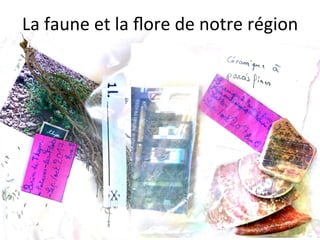 Les	photos	présentes	sur	ce	document	ne	peuvent	être	u"lisées	que	dans	le	cadre	du	projet	interna"onal	«	Culture	Box	»	2017/2018.	Aucun	
envoi	ou	transfert	n’est	autorisé	en	dehors	des	échanges	entre	l’école	de	la	Cougourlude	et	les	écoles	partenaires	en	France	et	à	l’étranger.	
La	faune	et	la	ﬂore	de	notre	région	
 