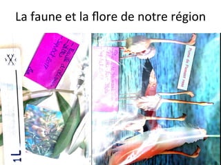 Les	photos	présentes	sur	ce	document	ne	peuvent	être	u"lisées	que	dans	le	cadre	du	projet	interna"onal	«	Culture	Box	»	2017/2018.	Aucun	
envoi	ou	transfert	n’est	autorisé	en	dehors	des	échanges	entre	l’école	de	la	Cougourlude	et	les	écoles	partenaires	en	France	et	à	l’étranger.	
La	faune	et	la	ﬂore	de	notre	région	
 