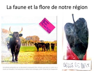 Les	photos	présentes	sur	ce	document	ne	peuvent	être	u"lisées	que	dans	le	cadre	du	projet	interna"onal	«	Culture	Box	»	2017/2018.	Aucun	
envoi	ou	transfert	n’est	autorisé	en	dehors	des	échanges	entre	l’école	de	la	Cougourlude	et	les	écoles	partenaires	en	France	et	à	l’étranger.	
La	faune	et	la	ﬂore	de	notre	région	
 