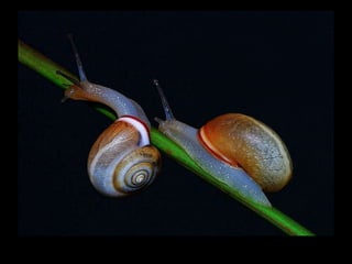 La couleurest dans la nature
