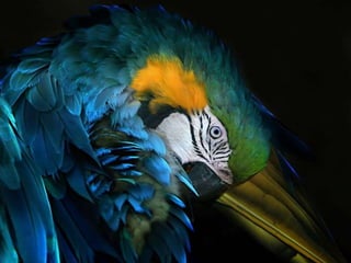 La couleurest dans la nature