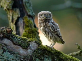 La couleurest dans la nature