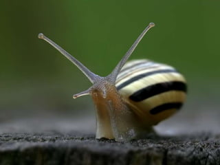 La couleurest dans la nature