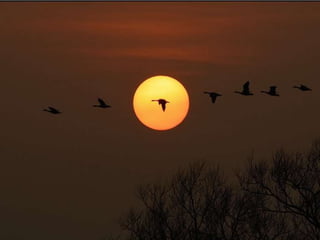 La couleurest dans la nature