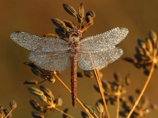 La couleurest dans la nature