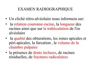 EXAMEN RADIOGRAPHIQUE
• Un cliché rétro-alvéolaire nous informera sur:
• la relation couronne-racine, la longueur des
racines ainsi que sur la trabéculation de l'os
alvéolaire
• la qualité des obturations, les zones apicales et
péri-apicales, la furcation , le volume de la
chambre pulpaire
• la présence de dents incluses, de racines
résiduelles, de fractures radiculaires
 