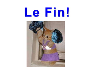 Le Fin!

 