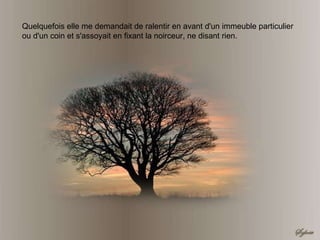 Quelquefois elle me demandait de ralentir en avant d'un immeuble particulier ou d'un coin et s'assoyait en fixant la noirceur, ne disant rien. 