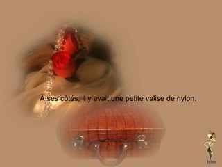 À ses côtés, il y avait une petite valise de nylon. 