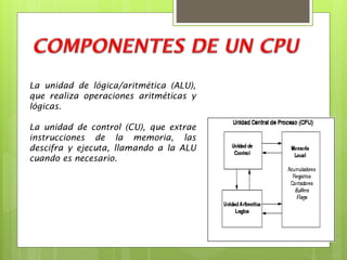 La unidad de lógica/aritmética (ALU),
que realiza operaciones aritméticas y
lógicas.
La unidad de control (CU), que extrae
instrucciones de la memoria, las
descifra y ejecuta, llamando a la ALU
cuando es necesario.

 