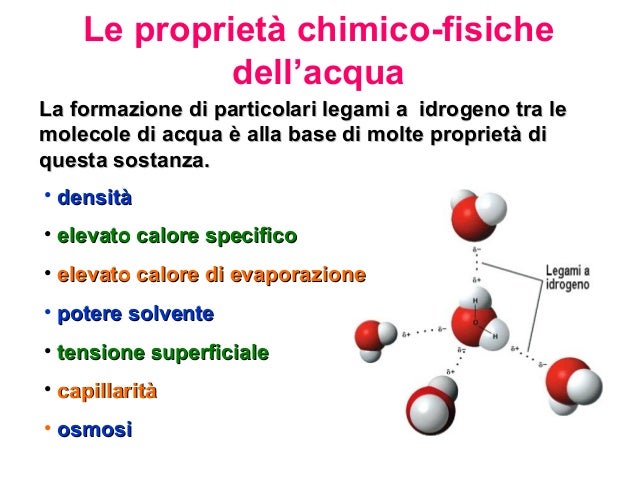 Quali Sono Le Caratteristiche Dell Acqua