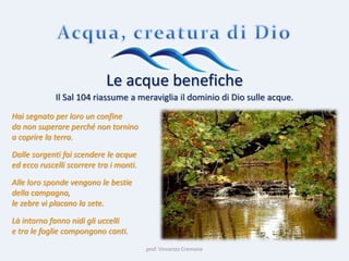 prof. Vincenzo Cremone
Le acque benefiche
Il Sal 104 riassume a meraviglia il dominio di Dio sulle acque.
Hai segnato per loro un confine
da non superare perché non tornino
a coprire la terra.
Dalle sorgenti fai scendere le acque
ed ecco ruscelli scorrere tra i monti.
Alle loro sponde vengono le bestie
della campagna,
le zebre vi placano la sete.
Là intorno fanno nidi gli uccelli
e tra le foglie compongono canti.
 