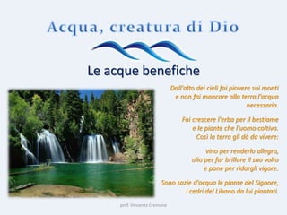 prof. Vincenzo Cremone
Le acque benefiche
Dall'alto dei cieli fai piovere sui monti
e non fai mancare alla terra l'acqua
necessaria.
Fai crescere l'erba per il bestiame
e le piante che l'uomo coltiva.
Così la terra gli dà da vivere:
vino per renderlo allegro,
olio per far brillare il suo volto
e pane per ridargli vigore.
Sono sazie d'acqua le piante del Signore,
i cedri del Libano da lui piantati.
 