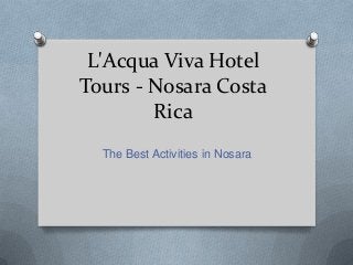 L'Acqua Viva Hotel
Tours - Nosara Costa
Rica
The Best Activities in Nosara

 