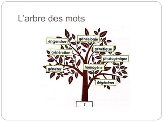 L’arbre des mots
 