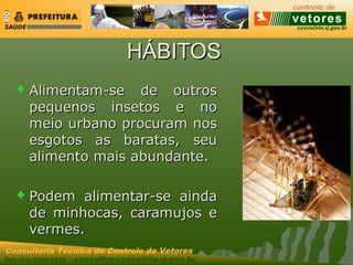 ccvvs@rio.rj.gov.br
Tel: (21) 2589-2338 consultecccvvs@rio.rj.gov.br
Consultoria Técnica do Controle de Vetores
HÁBITOSHÁBITOS
 Alimentam-se de outrosAlimentam-se de outros
pequenos insetos e nopequenos insetos e no
meio urbano procuram nosmeio urbano procuram nos
esgotos as baratas, seuesgotos as baratas, seu
alimento mais abundante.alimento mais abundante.
 Podem alimentar-se aindaPodem alimentar-se ainda
de minhocas, caramujos ede minhocas, caramujos e
vermes.vermes.
 