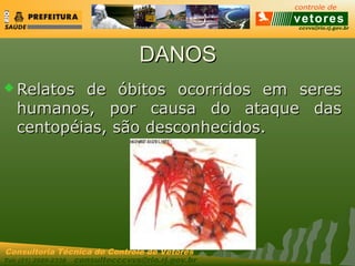 ccvvs@rio.rj.gov.br
Tel: (21) 2589-2338 consultecccvvs@rio.rj.gov.br
Consultoria Técnica do Controle de Vetores
DANOSDANOS
 Relatos de óbitos ocorridos em seresRelatos de óbitos ocorridos em seres
humanos, por causa do ataque dashumanos, por causa do ataque das
centopéias, são desconhecidos.centopéias, são desconhecidos.
 