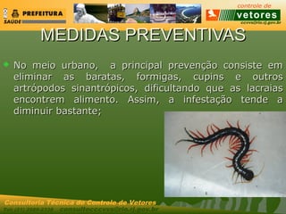 ccvvs@rio.rj.gov.br
Tel: (21) 2589-2338 consultecccvvs@rio.rj.gov.br
Consultoria Técnica do Controle de Vetores
MEDIDAS PREVENTIVASMEDIDAS PREVENTIVAS
 No meio urbano, a principal prevenção consiste emNo meio urbano, a principal prevenção consiste em
eliminar as baratas, formigas, cupins e outroseliminar as baratas, formigas, cupins e outros
artrópodos sinantrópicos, dificultando que as lacraiasartrópodos sinantrópicos, dificultando que as lacraias
encontrem alimento. Assim, a infestação tende aencontrem alimento. Assim, a infestação tende a
diminuir bastante;diminuir bastante;
 