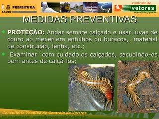 ccvvs@rio.rj.gov.br
Tel: (21) 2589-2338 consultecccvvs@rio.rj.gov.br
Consultoria Técnica do Controle de Vetores
MEDIDAS PREVENTIVASMEDIDAS PREVENTIVAS
 PROTEÇÃO:PROTEÇÃO: Andar sempre calçado e usar luvas deAndar sempre calçado e usar luvas de
couro ao mexer em entulhos ou buracos, materialcouro ao mexer em entulhos ou buracos, material
de construção, lenha, etc.;de construção, lenha, etc.;
 Examinar com cuidado os calçados, sacudindo-osExaminar com cuidado os calçados, sacudindo-os
bem antes de calçá-los;bem antes de calçá-los;
 