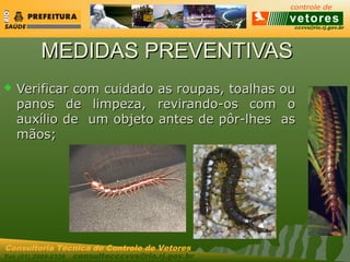 ccvvs@rio.rj.gov.br
Tel: (21) 2589-2338 consultecccvvs@rio.rj.gov.br
Consultoria Técnica do Controle de Vetores
MEDIDAS PREVENTIVASMEDIDAS PREVENTIVAS
 Verificar com cuidado as roupas, toalhas ouVerificar com cuidado as roupas, toalhas ou
panos de limpeza, revirando-os com opanos de limpeza, revirando-os com o
auxílio de um objeto antes de pôr-lhes asauxílio de um objeto antes de pôr-lhes as
mãos;mãos;
 