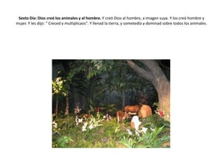 Sexto Día: Dios creó los animales y al hombre. Y creó Dios al hombre, a imagen suya. Y los creó hombre y
mujer. Y les dijo: " Creced y multiplicaos". Y llenad la tierra, y sometedla y dominad sobre todos los animales.
 