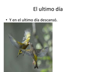 El ultimo día
• Y en el ultimo día descansó.
 