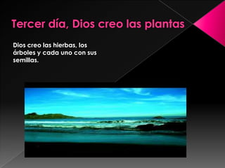 Dios creo las hierbas, los
árboles y cada uno con sus
semillas.
 