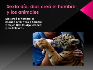 Dios creó al hombre, a
imagen suya. Y los a hombre
y mujer. Dios les dijo: creced
y multiplicaros.
 