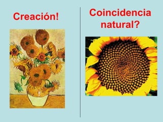 Creación!   Coincidencia
              natural?
 