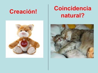 Coincidencia
Creación!
              natural?
 
