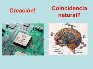 Creación!   Coincidencia
              natural?
 