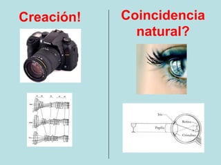 Creación!   Coincidencia
              natural?
 